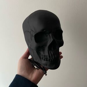 BLACK SKULL DIFFUSER!